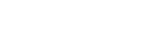 light logo